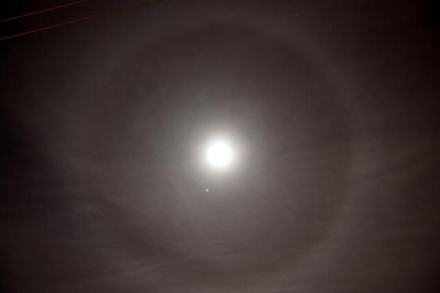 Image credit - nuno morao - CC-BY-SA