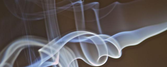 Photo credit - Pery Burge - click for larger image