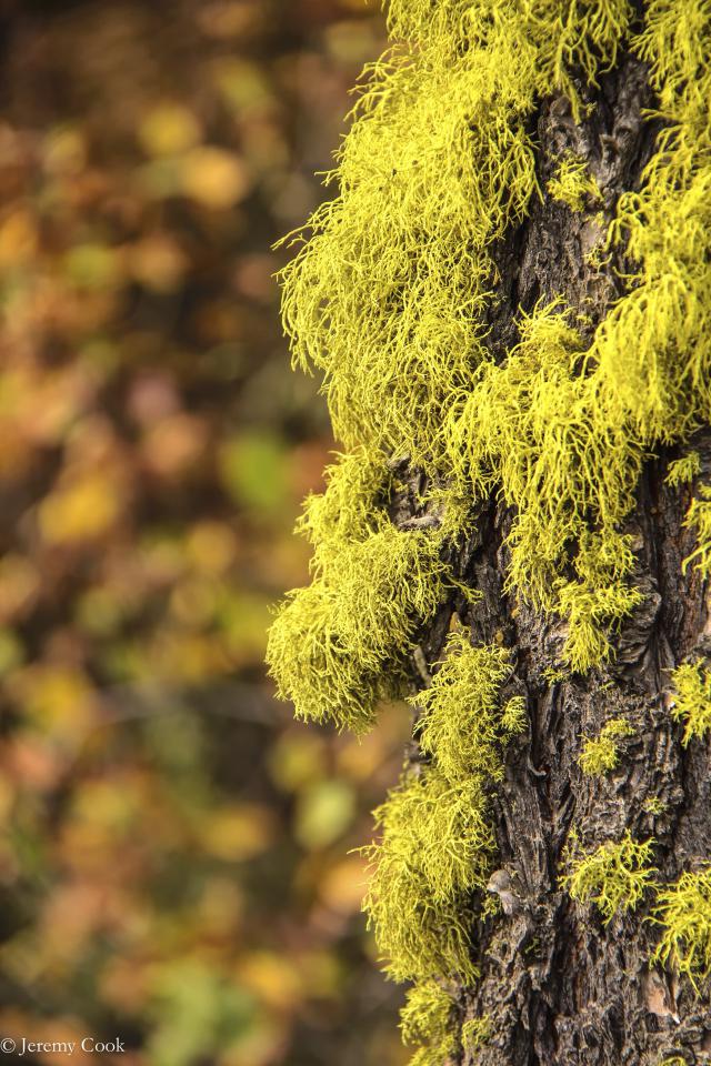 Photo credit - Jeremy Cook