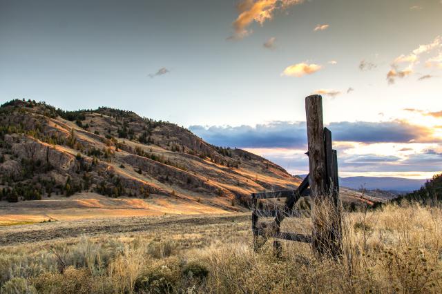 Photo credit - Jeremy Cook