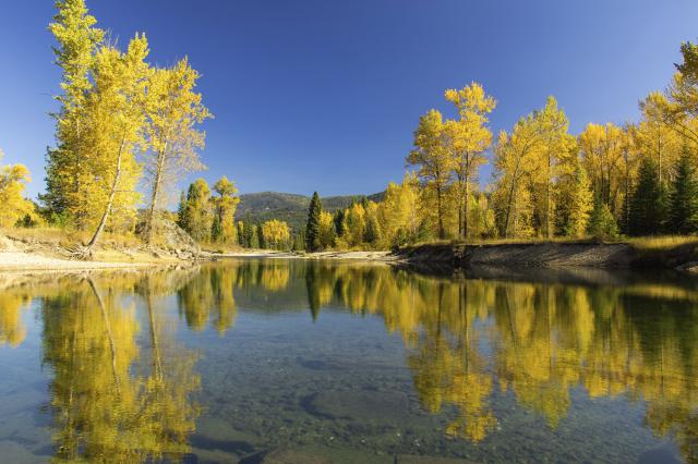 Photo credit - Jeremy Cook