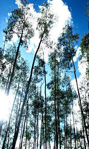 CC-BY - Zach Dischner