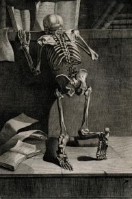 Credit Wellcome - CC-BY